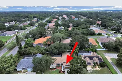 611 Tomoka Drive, Palm Harbor, FL 34683 - Photo 40