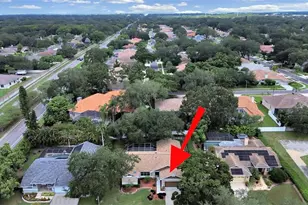 611 Tomoka Dr, Palm Harbor, FL 34683 - Photo 40