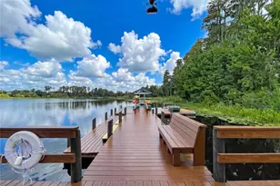 21422 Draycott Way, Land O Lakes, FL 34637 - Photo 76