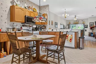 19339 Everton Place, Land O Lakes, FL 34638 - Photo 8