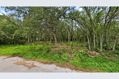 0 Orland Street, New Port Richey, FL 34654 - Photo 2