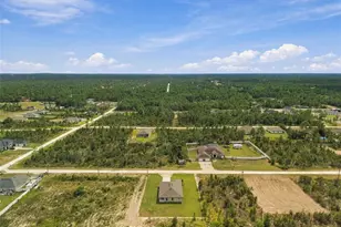 13041 Scissorbill Ave, Weeki Wachee, FL 34614 - Photo 2