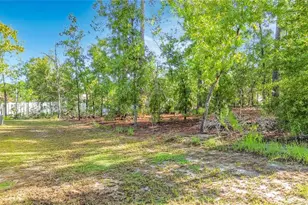 1399 W Cary Dr, Citrus Springs, FL 34434 - Photo 48