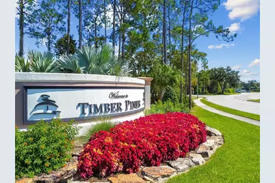 2429 Birdie Lane, Spring Hill, FL 34606 - Photo 52