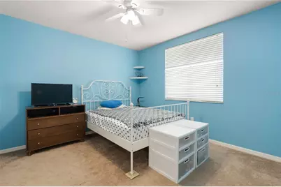 30406 Colehaven Court, Wesley Chapel, FL 33543 - Photo 42