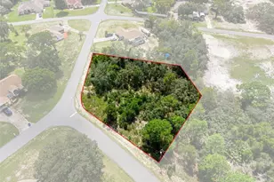 Staten, Spring Hill, FL 34609 - Photo 1