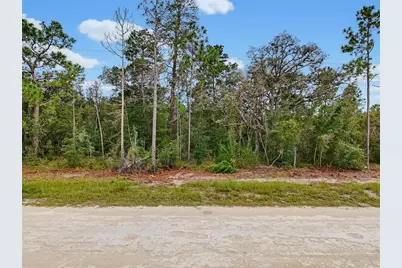 0 Kanawha Drive, Weeki Wachee, FL 34614 - Photo 2