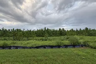 8417 Danbury Ln, Hudson, FL 34667 - Photo 2