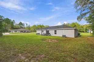 8009 N Primrose Dr, Citrus Springs, FL 34434 - Photo 30