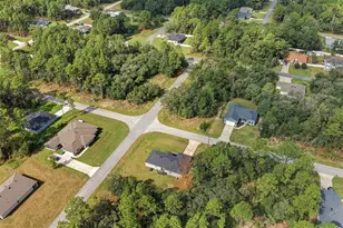 8009 N Primrose Dr, Citrus Springs, FL 34434 - Photo 42