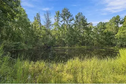 880 Emerson Road, Brooksville, FL 34601 - Photo 8