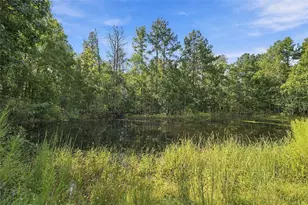 880 Emerson Rd, Brooksville, FL 34601 - Photo 8