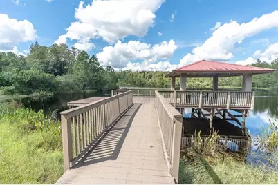 19722 Lonesome Pine Drive, Land O Lakes, FL 34638 - Photo 58