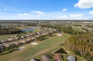 1201 Dustan Pl, Trinity, FL 34655 - Photo 54
