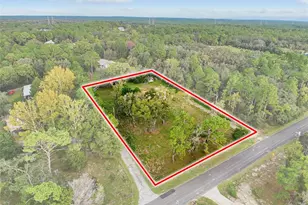 7245 S Blackberry Point, Homosassa, FL 34446 - Photo 1
