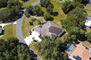 1815 E Allegrie Dr, Inverness, FL 34453 - Photo 70