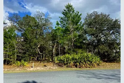 Maberly Road, Weeki Wachee, FL 34614 - Photo 2