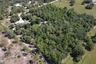 6968 W Peking Ct, Dunnellon, FL 34433 - Photo 24