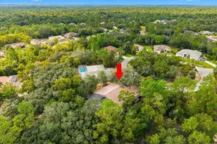 18 Dahlia Ct S, Homosassa, FL 34446 - Photo 38