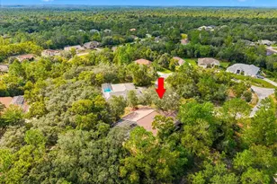 18 Dahlia Ct S, Homosassa, FL 34446 - Photo 38