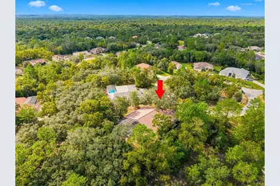18 Dahlia Court S, Homosassa, FL 34446 - Photo 52
