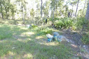 11397 Latchwood Ave, Weeki Wachee, FL 34614 - Photo 28