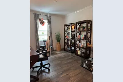 17222 Mango Shay Court, Land O Lakes, FL 34638 - Photo 4