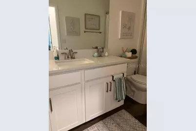 17222 Mango Shay Court, Land O Lakes, FL 34638 - Photo 12