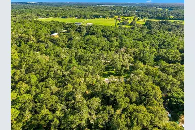 24403 McCaw Road, Brooksville, FL 34601 - Photo 6