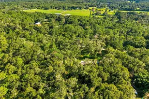 24403 McCaw Rd, Brooksville, FL 34601 - Photo 6
