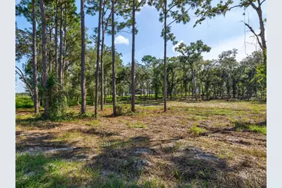 15504 Lenway Road, Spring Hill, FL 34610 - Photo 4