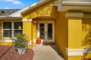 8209 Alhambra Ct, Spring Hill, FL 34606 - Photo 46