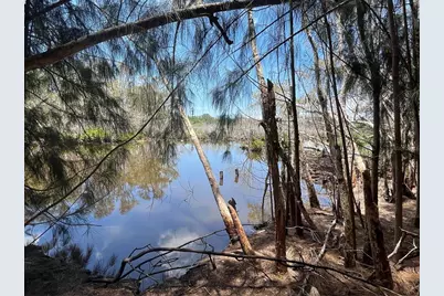 Legion Drive, Tarpon Springs, FL 34689 - Photo 10