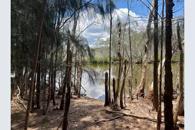 Legion Drive, Tarpon Springs, FL 34689 - Photo 8