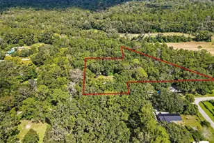 19995 Manecke Rd, Brooksville, FL 34601 - Photo 18