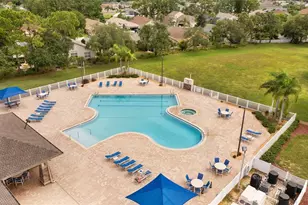 1937 Blue River Rd, Holiday, FL 34691 - Photo 46