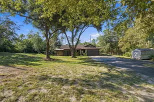 7891 Sycamore Dr, New Port Richey, FL 34654 - Photo 4