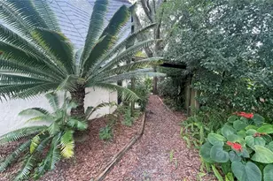 21004 Negril Ct, Lutz, FL 33558 - Photo 58