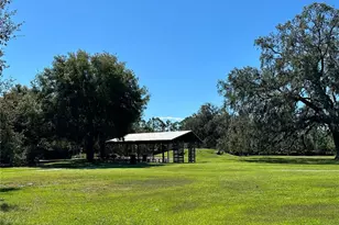 12315 Barn Cat Run, Odessa, FL 33556 - Photo 46