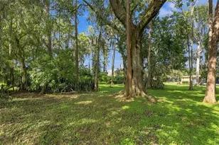 3300 Player Dr, New Port Richey, FL 34655 - Photo 32