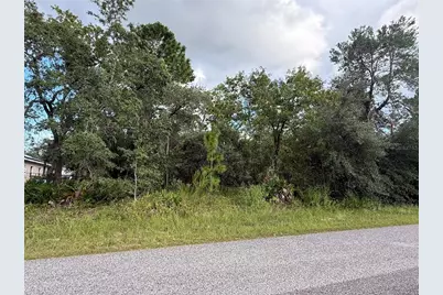 11192 Lomita Wren Road, Weeki Wachee, FL 34614 - Photo 2