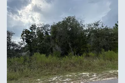 11023 Wren Road, Brooksville, FL 34613 - Photo 2