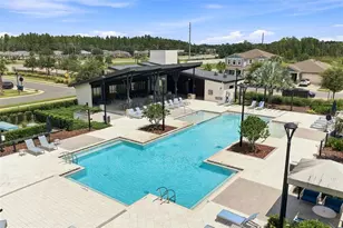19421 Monarch Wind Way, Lutz, FL 33558 - Photo 44