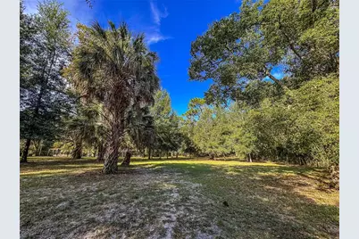 0 Kurt Street, Brooksville, FL 34604 - Photo 4