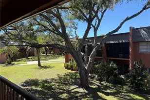 4805 Alt 19, Palm Harbor, FL 34683 - Photo 50