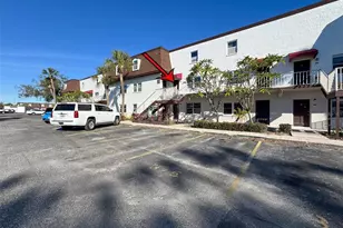 9201 Tudor Dr, Tampa, FL 33615 - Photo 50