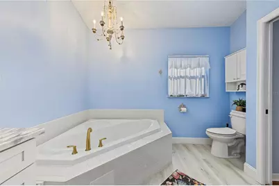 7360 Clearmeadow Drive, Spring Hill, FL 34606 - Photo 50