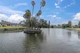 4346 Rustic Dr, New Port Richey, FL 34652 - Photo 38
