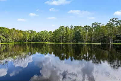 1300 Trimaran Place, Trinity, FL 34655 - Photo 60