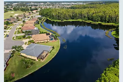 1300 Trimaran Place, Trinity, FL 34655 - Photo 64